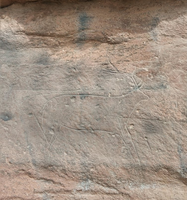 Shishkinskie Drawings-Kachug必去景点