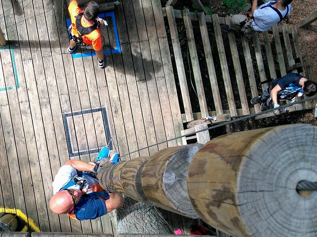 Frankenmuth Aerial Park-弗兰肯默斯必去景点