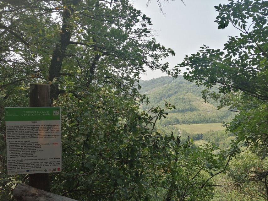 Oasi LIPU di Bianello景点图片