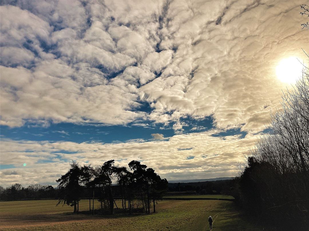 Ightham Mote Estate Walking Trails景点图片