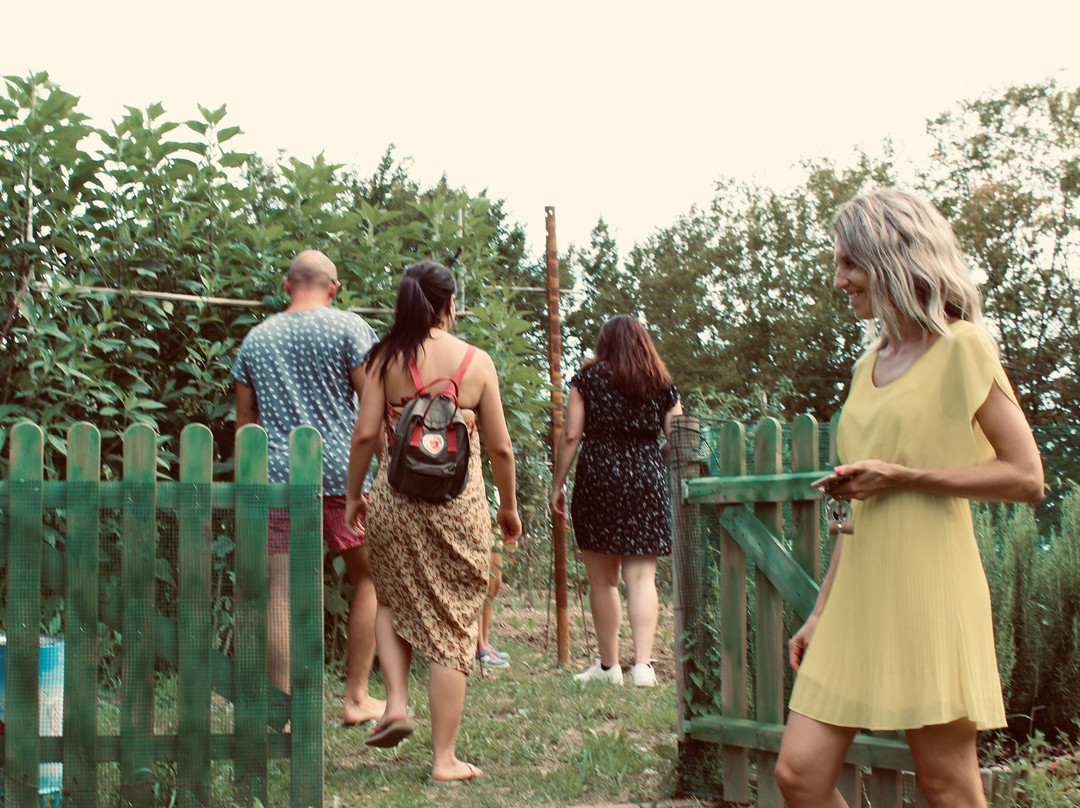 La Vigna di Sarah主图