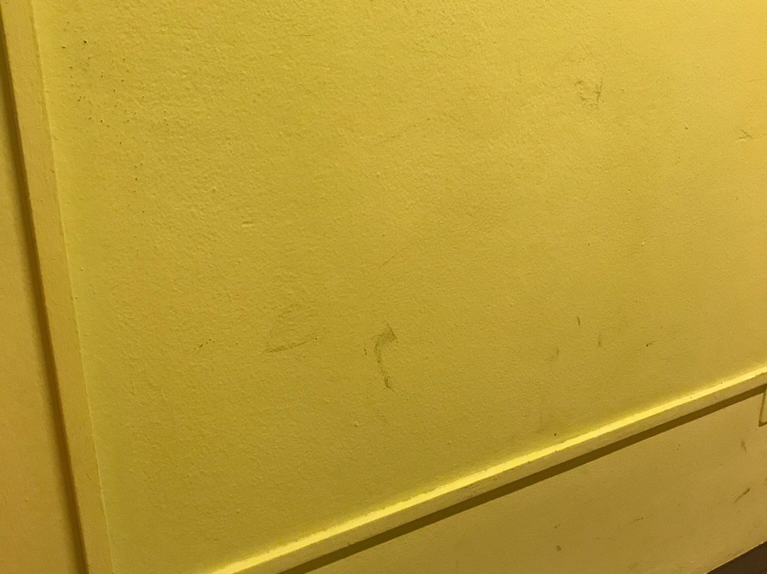 Destiny Hotel  Albergo Alla Pesa主图