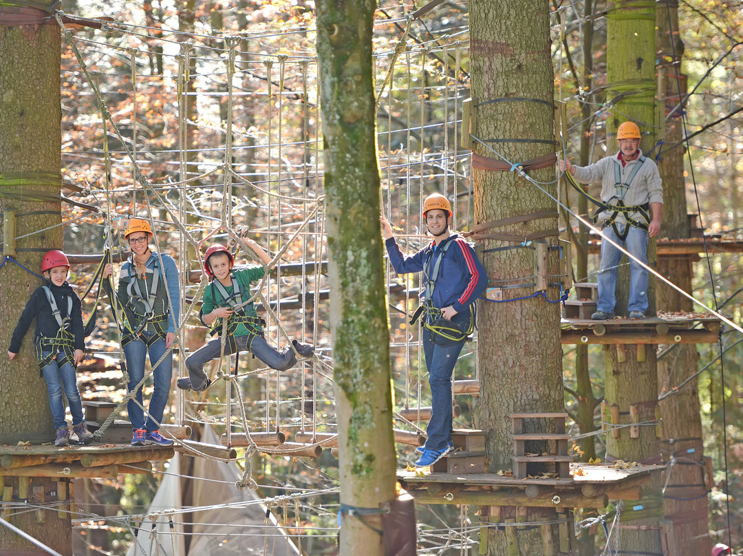 Kletterwald Prien-基姆湖畔普林必去景点