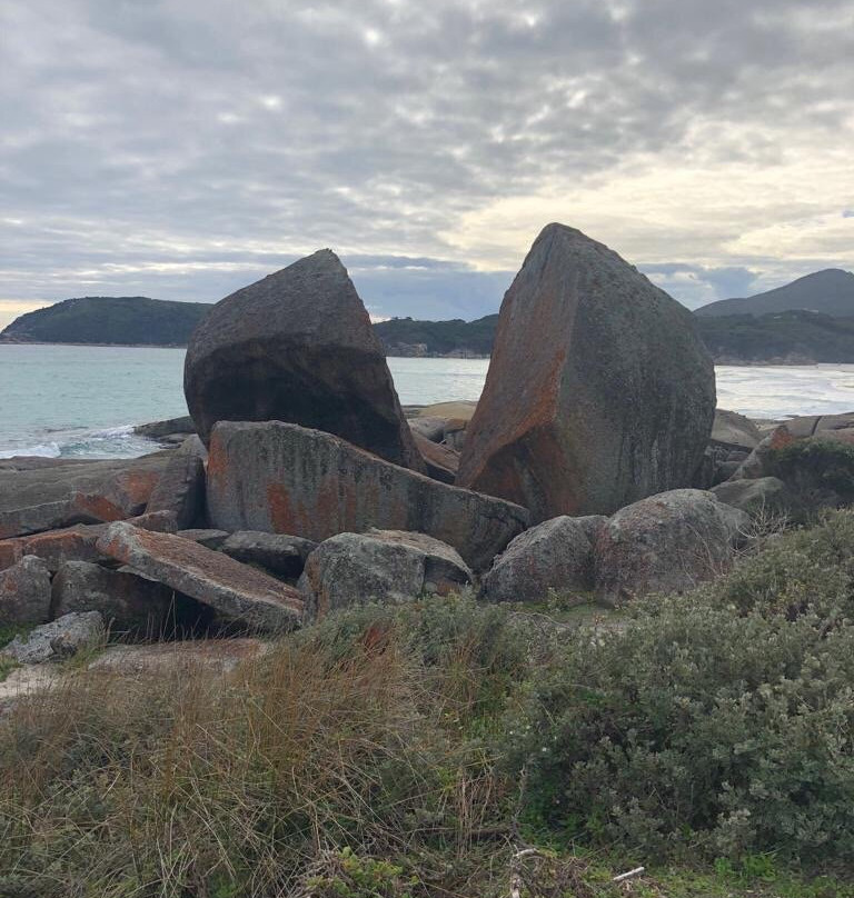 Great Private Tours-墨尔本必去景点