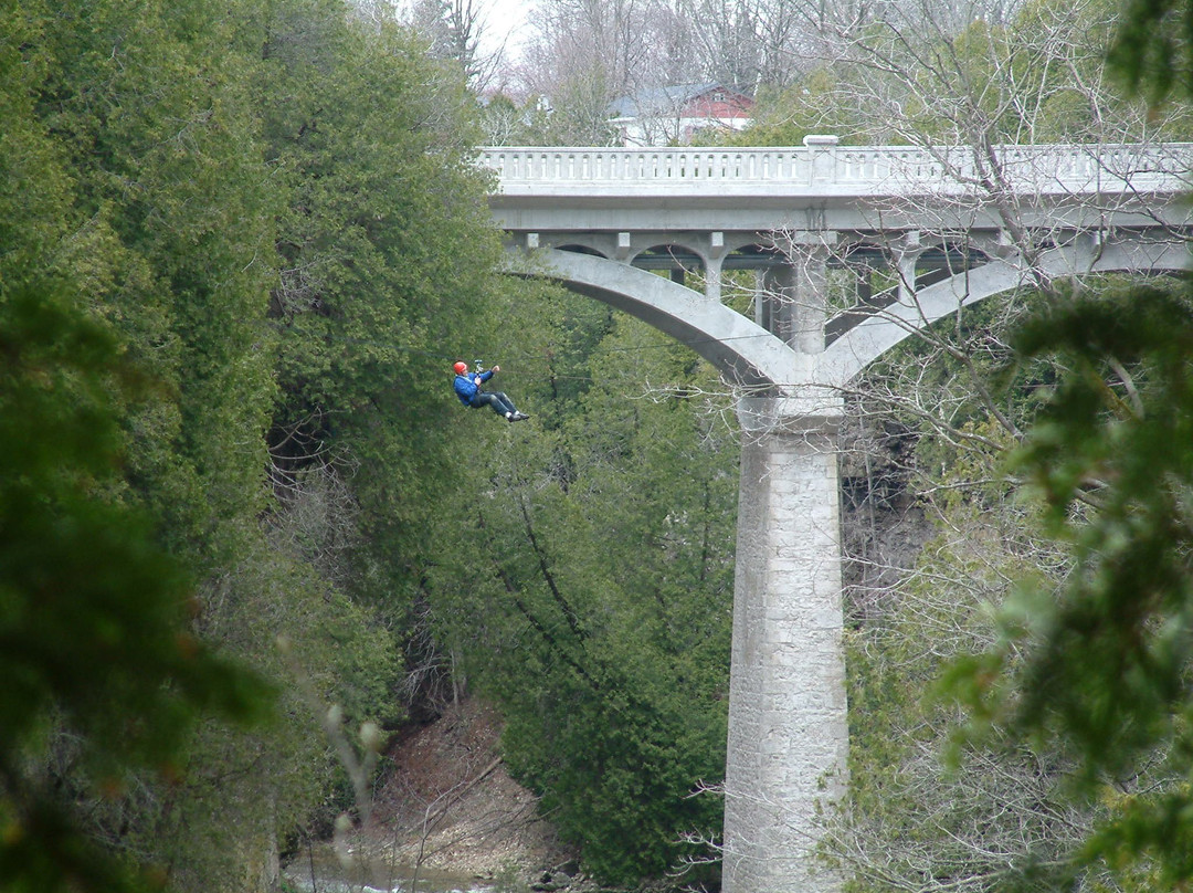 Zipline Extreme-伊劳拉必去景点
