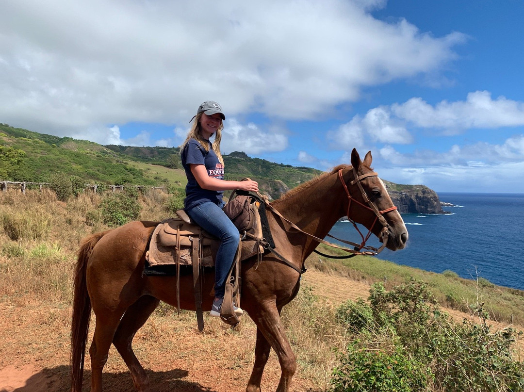 Circle M Ranch-怀露库必去景点