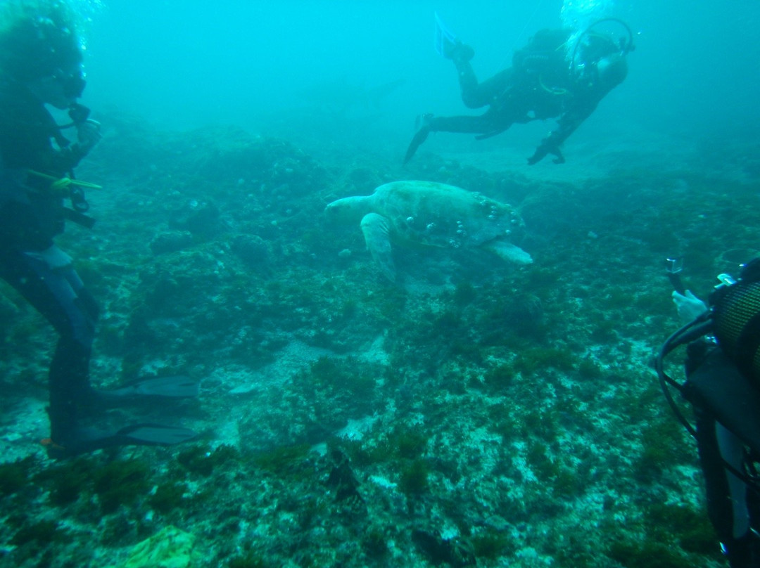 Crystal Divers-Scottburgh必去景点