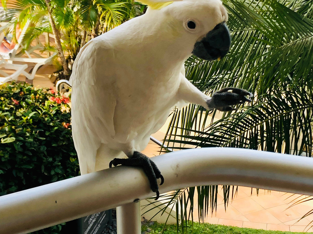 海滩俱乐部酒店主图