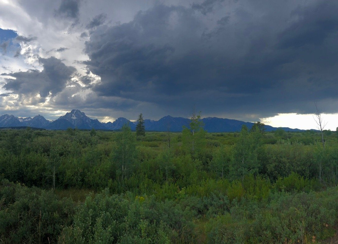 Teton Point Turnout-穆斯必去景点