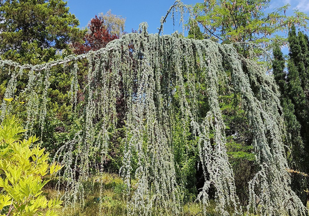 Jardin Botanique-Saverne必去景点