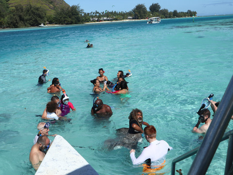 Albert's Transport-莫雷阿岛必去景点