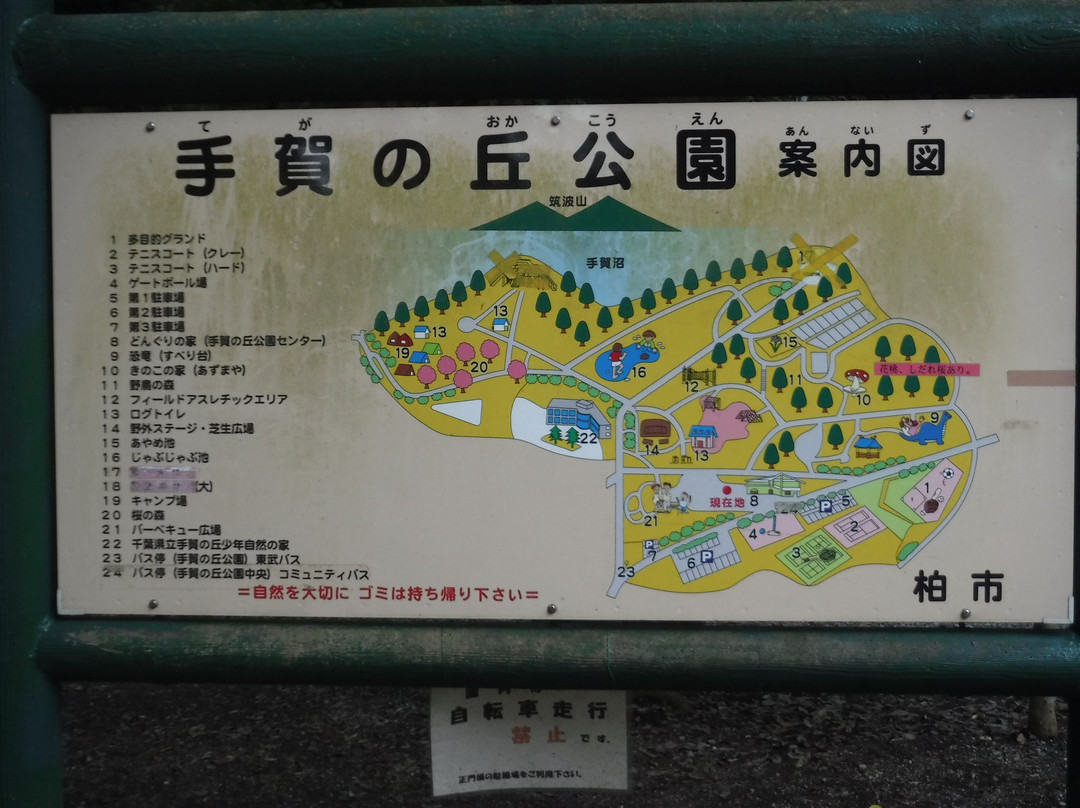 Teganooka Park-柏市必去景点