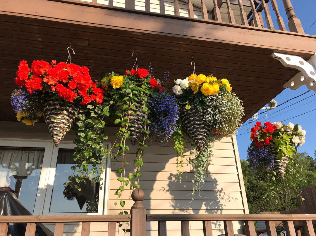 Kelly's View Motel主图