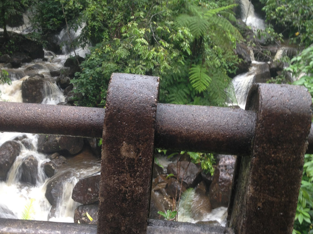 Sinharaja Rain Forest Tours-Deniyaya必去景点