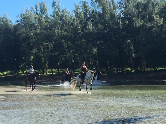 Les Calèches du Paradis-大湾必去景点
