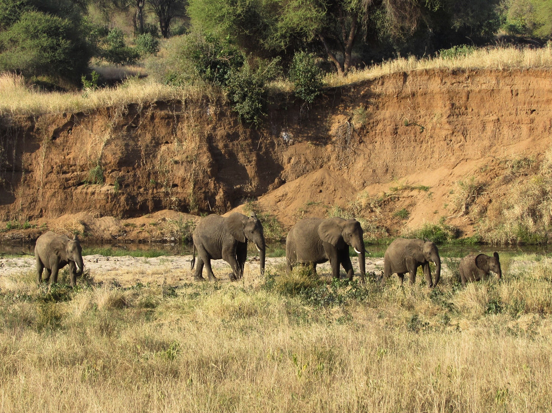 Tazama Africa Holidays景点图片