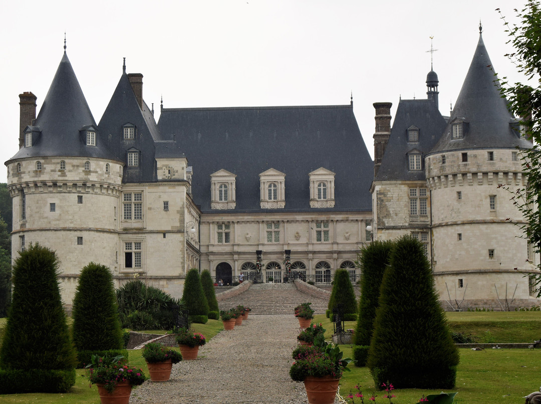 Chateau de Mesnieres景点图片