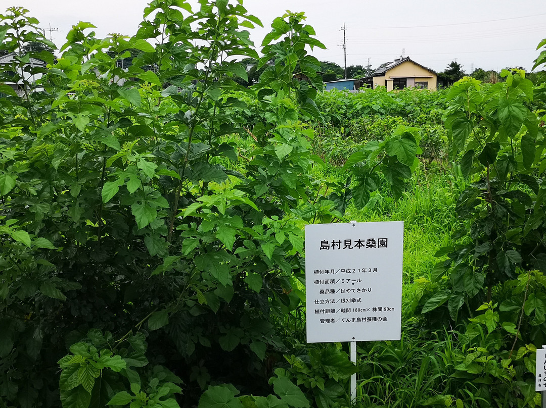 Shimamura Kaiko no Furusato Park景点图片