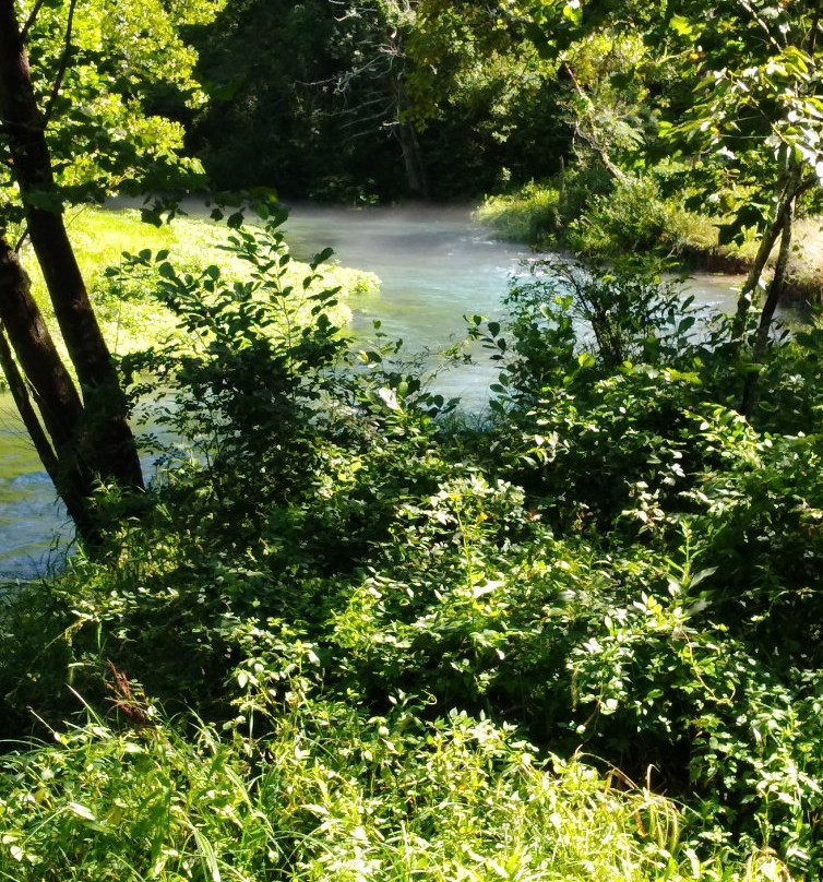 Ozark National Scenic Riverway景点图片