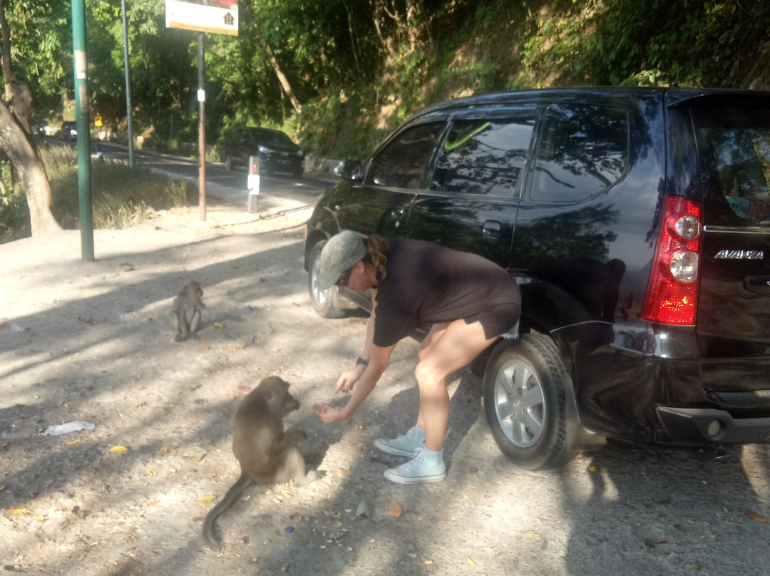 Puncak Pusuk Pass-Batu Layar必去景点