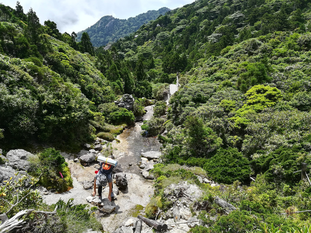 Mt. Miyanouradake景点图片