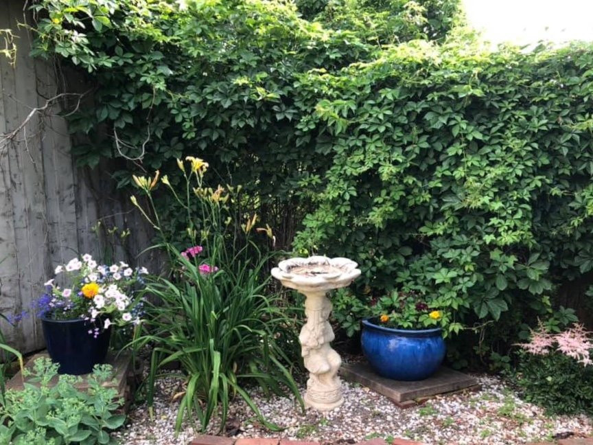 Driftwood Heights B & B主图