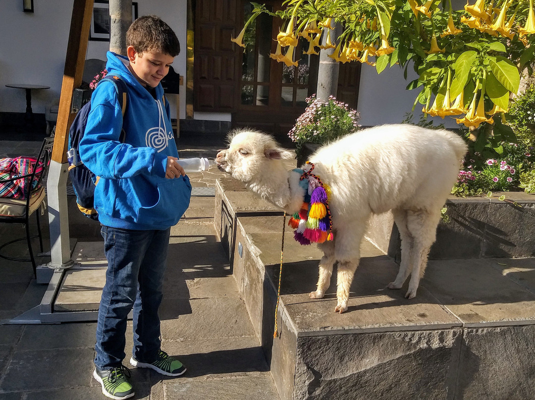 库斯科 JW 万豪酒店主图