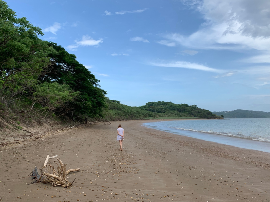 Papaturro Beach景点图片