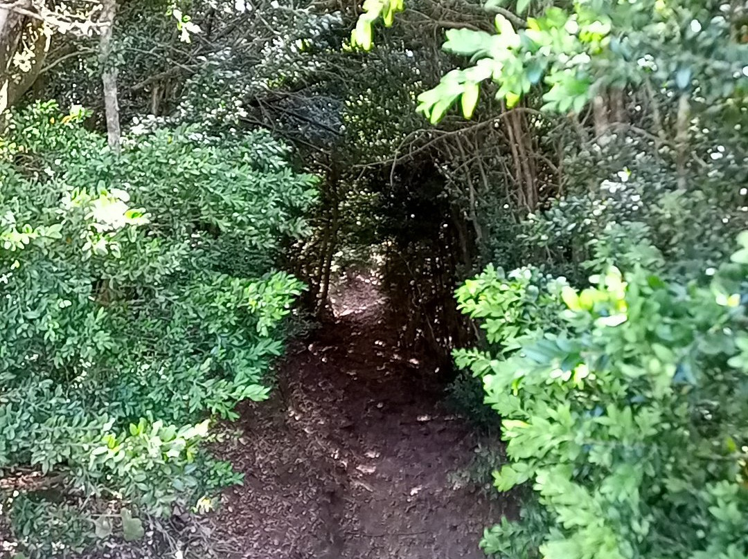 Santuario De Bellmunt主图