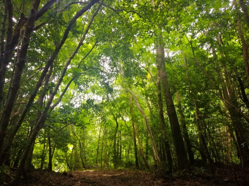 Ecological Trails Finca San Gerardo景点图片