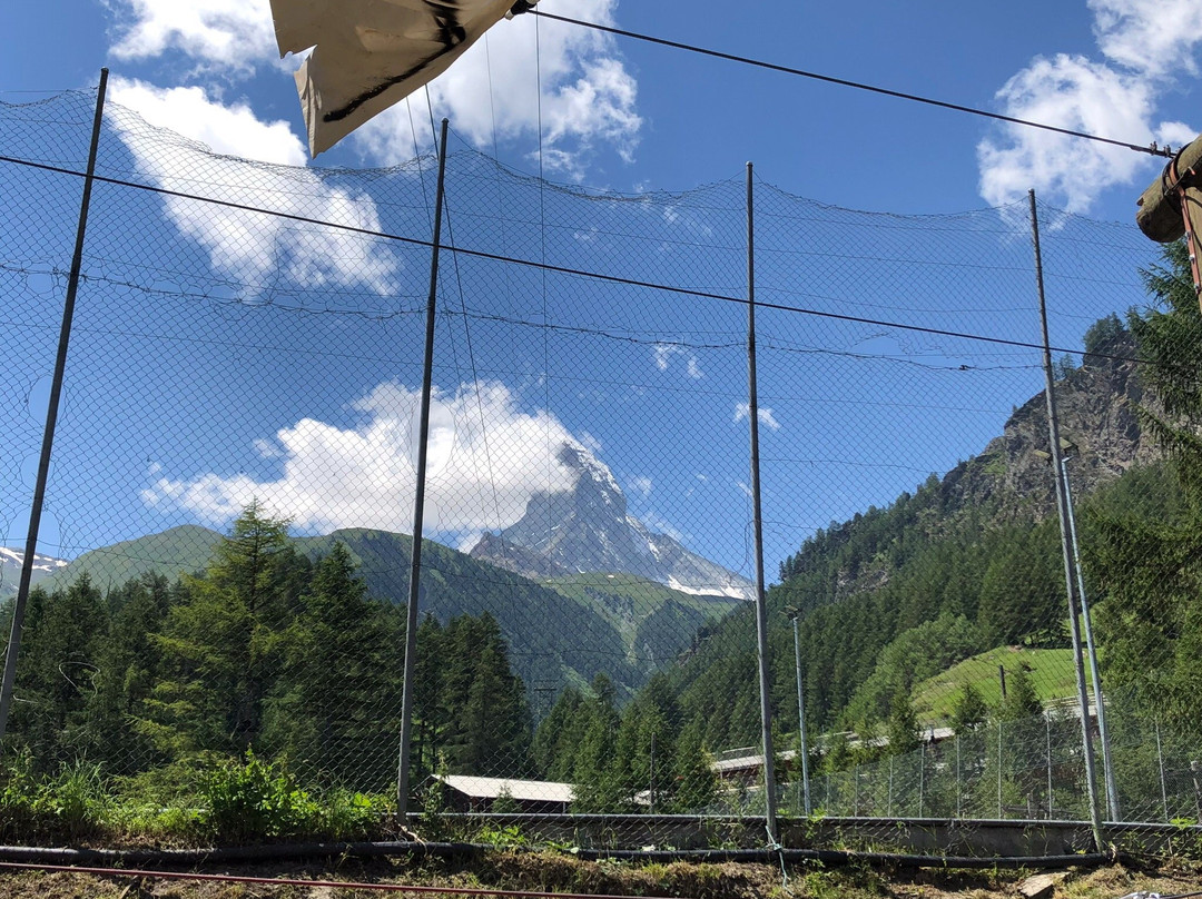 Forest Fun Park Zermatt景点图片