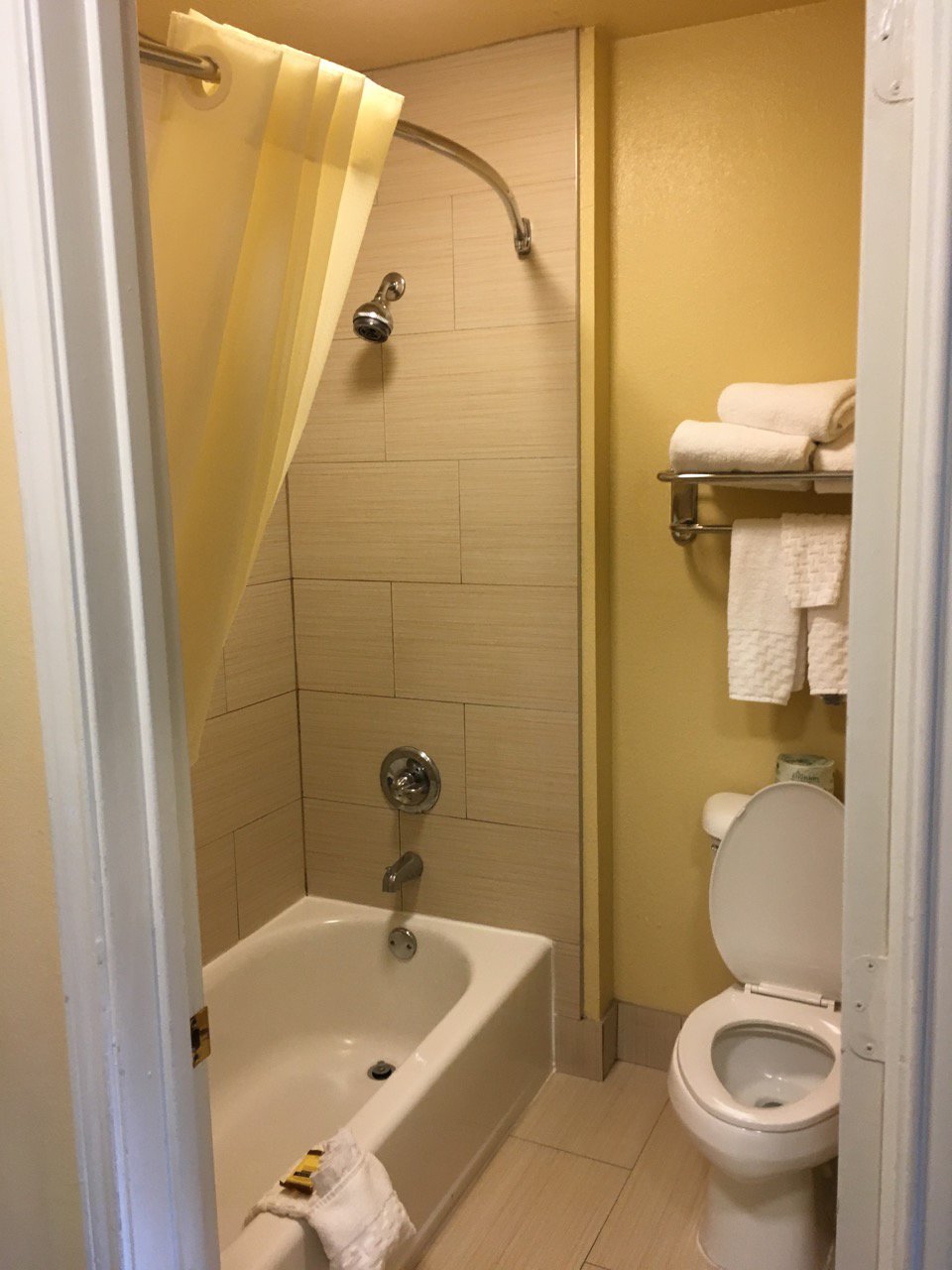 Best Western Plus Bessemer Hotel & Suites-浴室