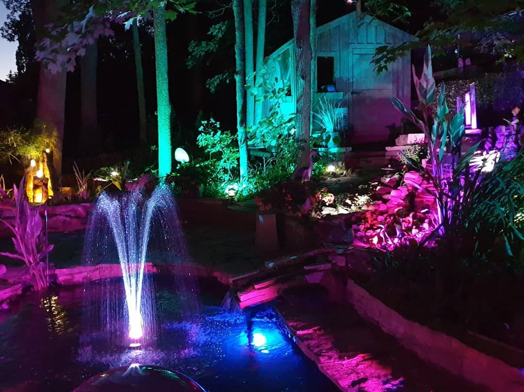 Forest Hill Bed and Breakfast主图