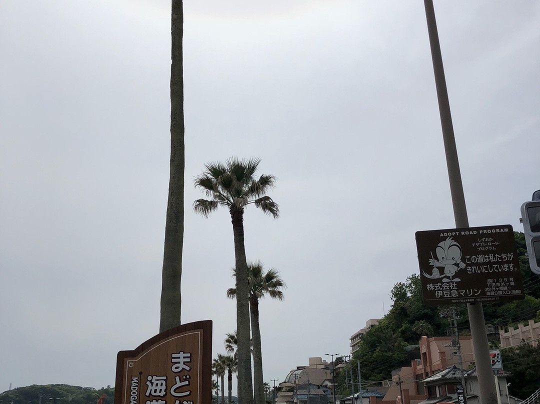Madogahama Kaiyu Park-下田市必去景点
