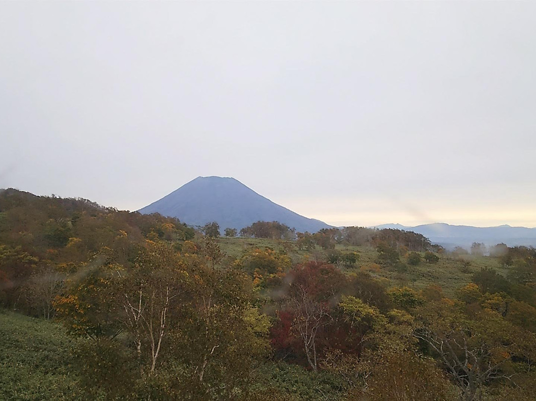 Niseko Annupuri Gondola景点图片
