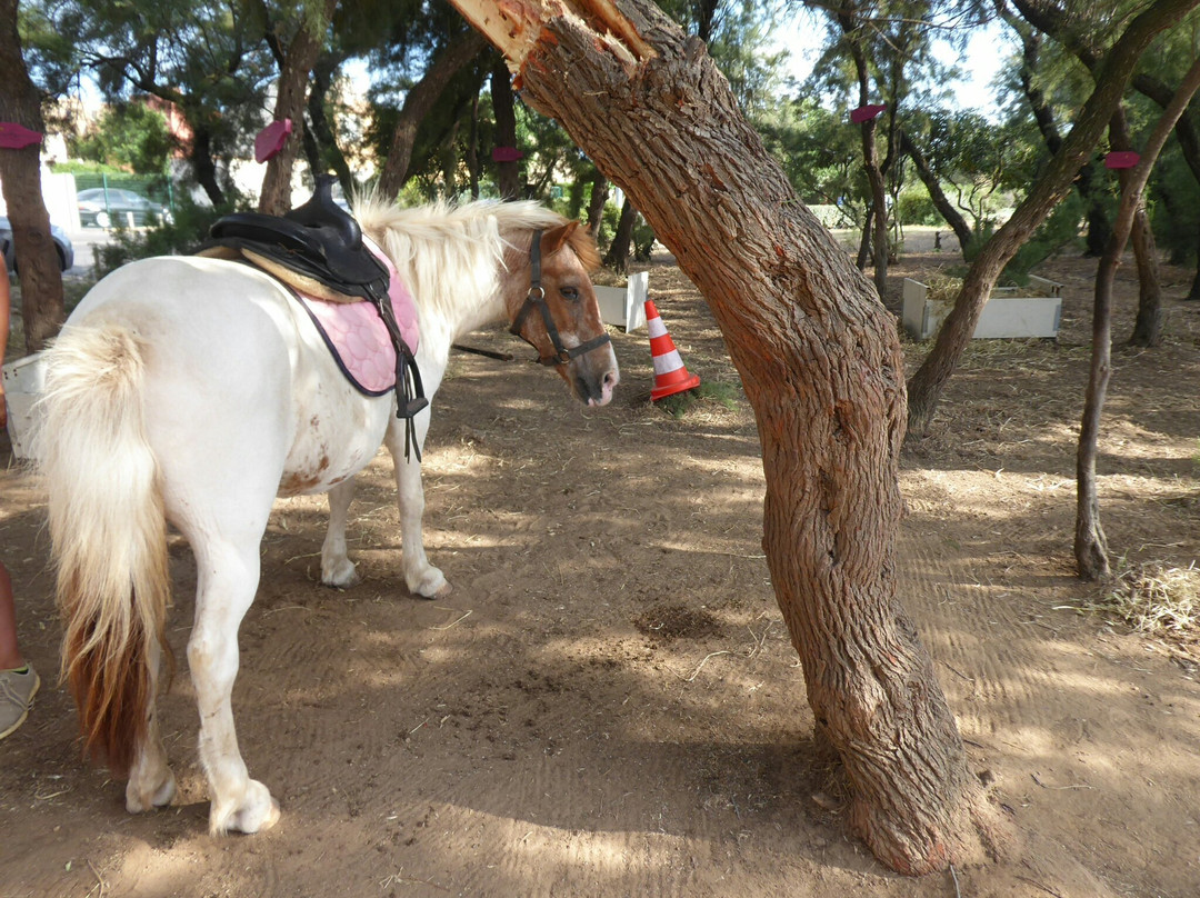 L'Ile aux poneys-Cap-d'Agde必去景点
