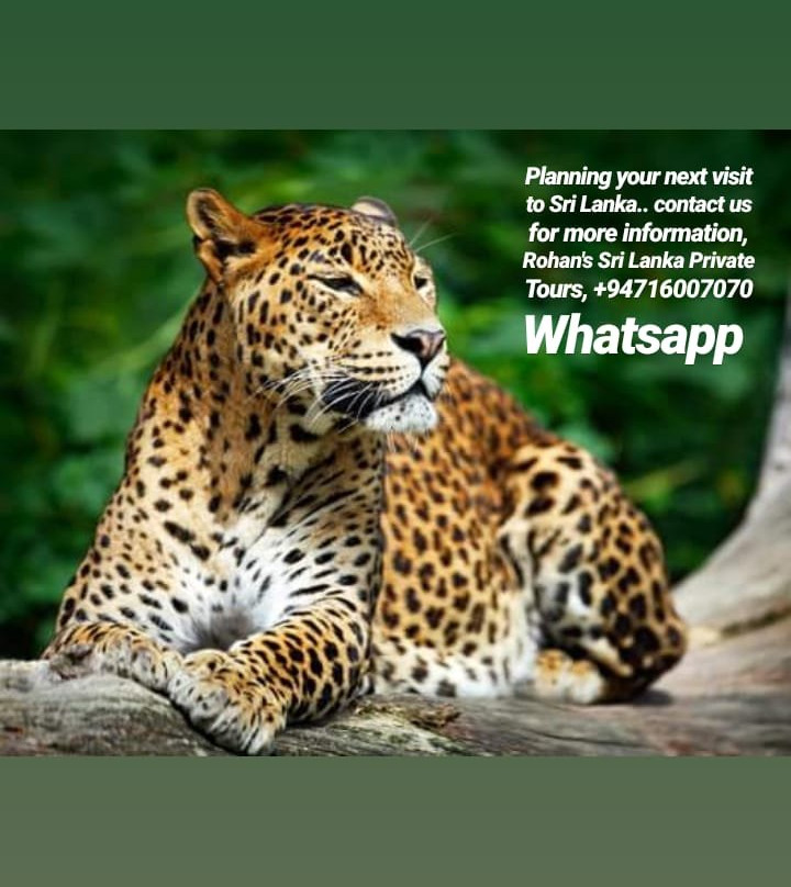 Rohan's Sri Lanka Tours - Taxi Service All Island景点图片