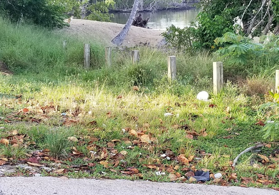 Colon Park-Aguadilla必去景点