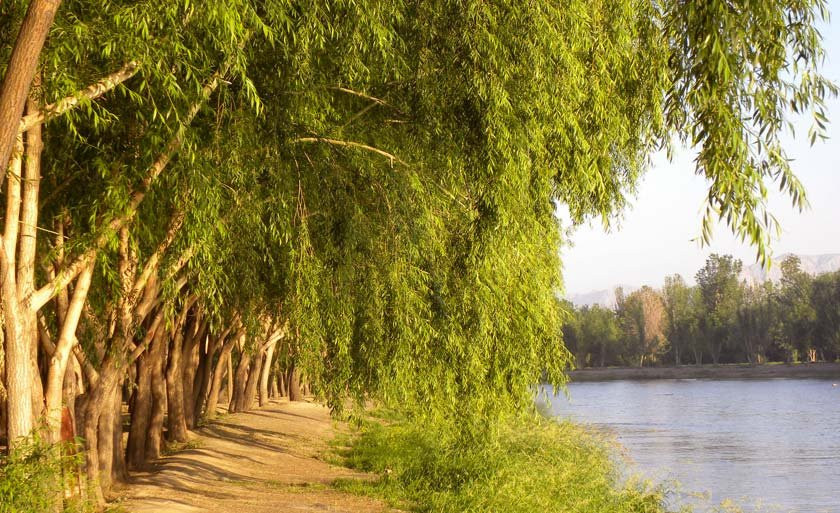 Nazhvan Forest Park景点图片