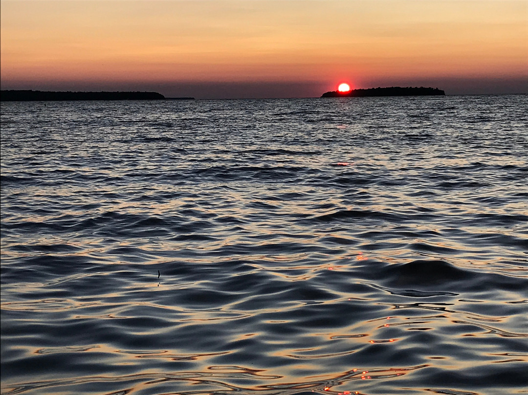 Pine Grove Resort主图