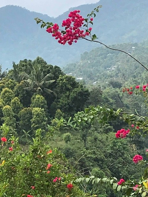 香缇天然全景酒店主图