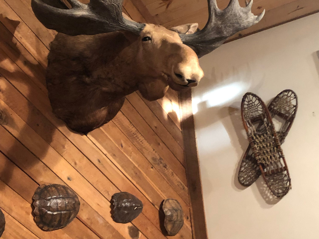 White Oaks Cabins主图