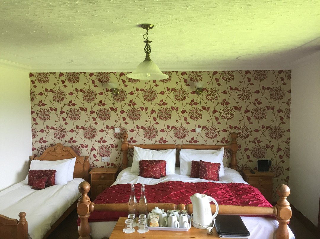 Abalone Guesthouse Bed & Breakfast主图