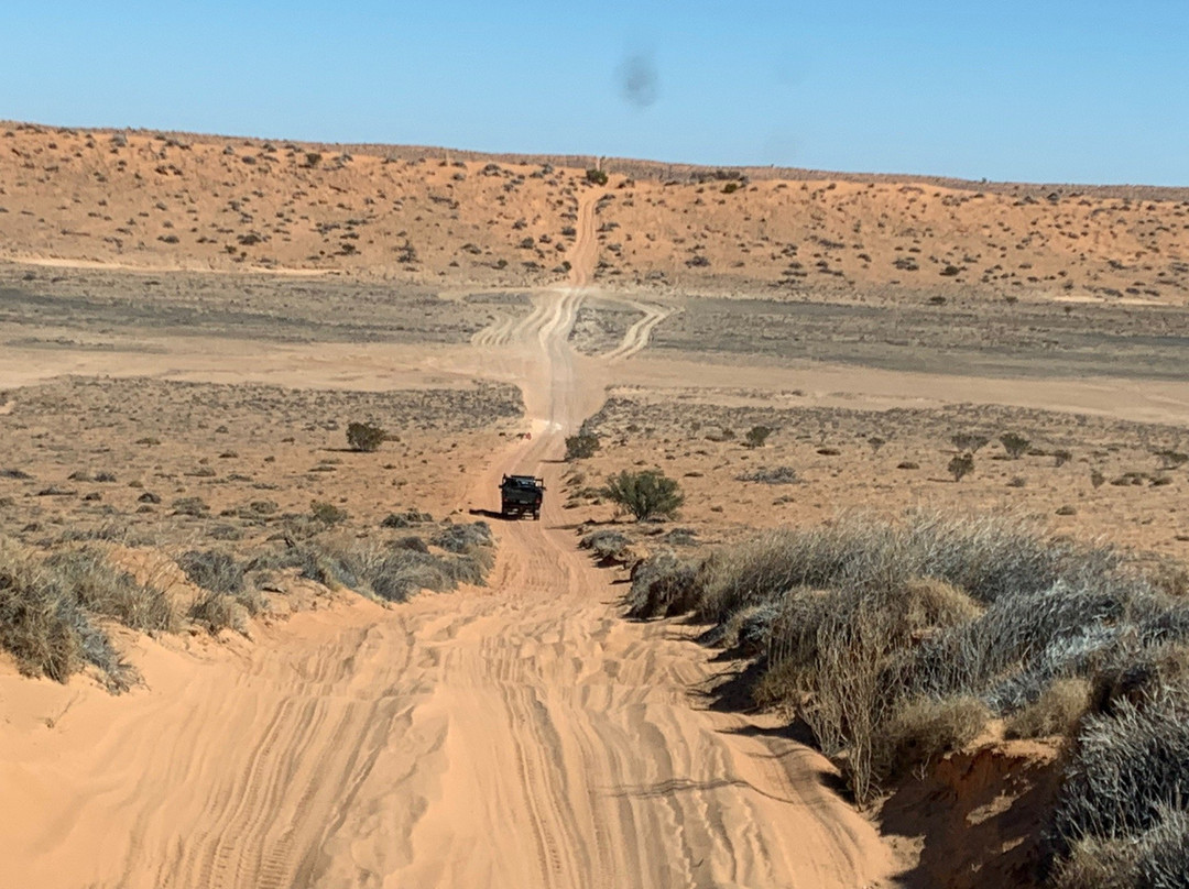Munga-Thirri (Simpson Desert) National Park-Birdsville必去景点