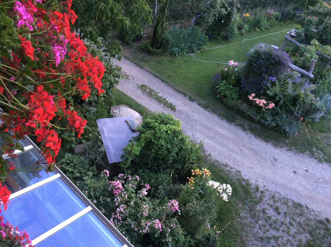 Peintnerhof Appartments & Zimmer主图