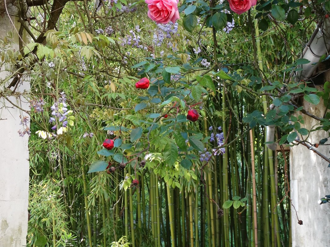 Moulin de la Papeterie Thérèse Doan主图