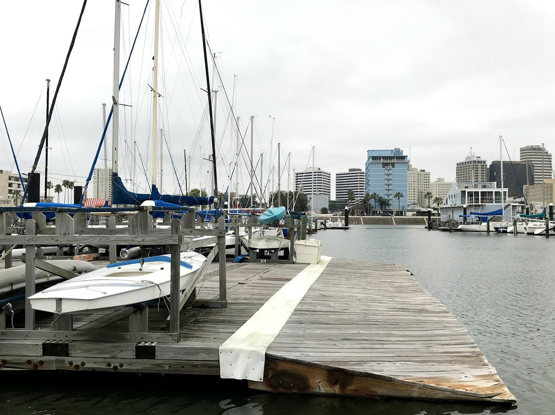 Corpus Christi Municipal Marina-科珀斯克里斯蒂市必去景点