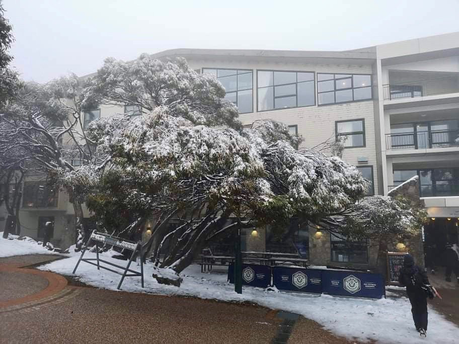 Mt Buller Chalet Hotel & Suites主图