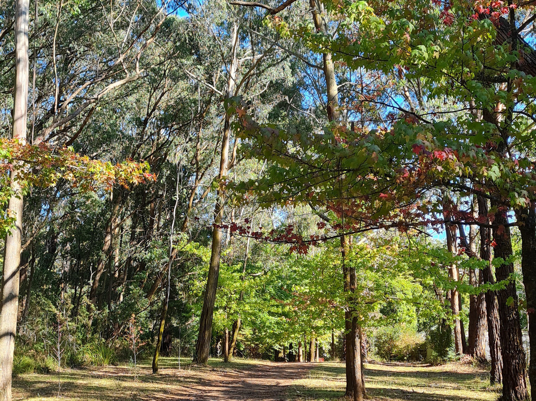 Gilwell Scout Activity Centre