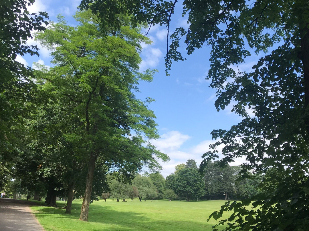 Aireville Park景点图片